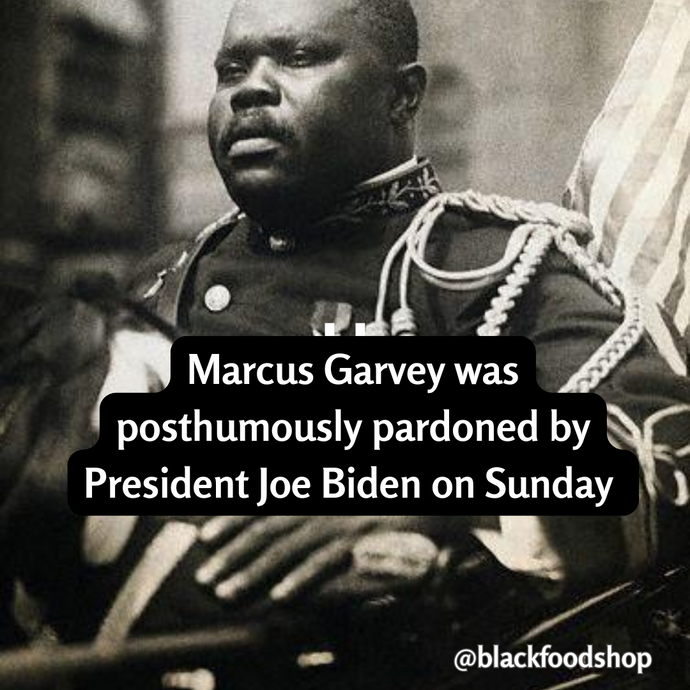 Marcus Garvey Receives Long-Awaited Pardon